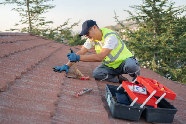 Best Roof Gutter Cleaning  in Cedartown, GA